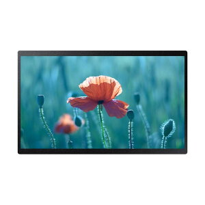 ���{�T���X�� [QB24C] Standalone QB24C