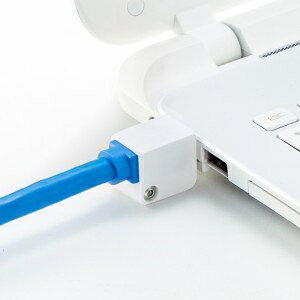 TTvC [SL-93] LANP[ubN