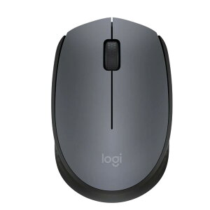 WN[ [M171RGR] CX}EX M171 O[/ubN