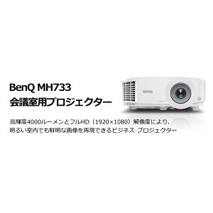 BenQ MH733 ��c���p�v���W�F�N�^�[
