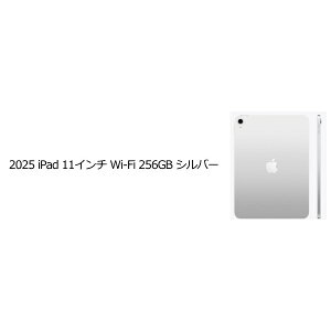 Apple MD4G4J/A iPad 256GB Vo[