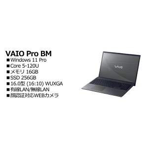 VAIO VJBM124000007 VAIO Pro BM