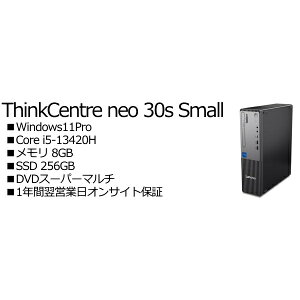 Lenovo 13DGS49X00 ThinkCentre neo 30s Small Gen 5