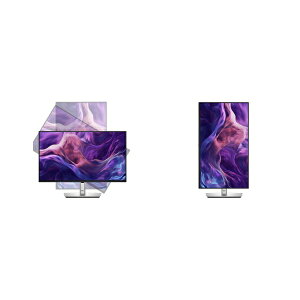Dell P2425HE Dell Pro PLUS 23.8C`j^[