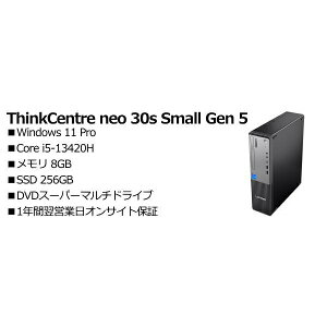 Lenovo 13DGS00700 ThinkCentre neo 30s Small Gen 5