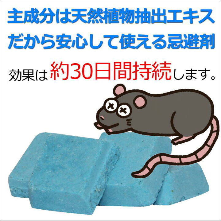 楽天市場】ネズミZ固形タイプ 忌避剤 嫌がる 寄せ付けない 追い出し 