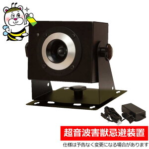 pgQb𑕒uEvasiyWACA_v^[tz GoW[ lY~ C^` ACO} nNrV CmVV VJ