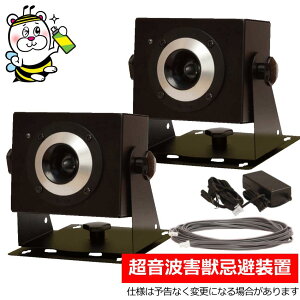 pgQb𑕒uEvasiy{2EP[uEWACA_v^[tz GoW[ lY~ C^` ACO} nNrV CmVV VJ