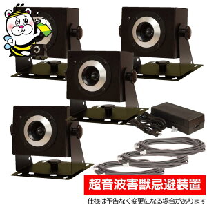 pgQb𑕒uEvasiy{4EP[u3{EeACA_v^[tz GoW[ lY~ C^` ACO} nNrV CmVV VJ