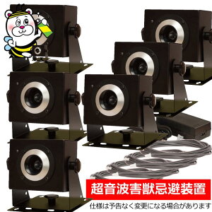 pgQb𑕒uEvasiy{6EP[u5{EeACA_v^[tz GoW[ lY~ C^` ACO} nNrV CmVV VJ