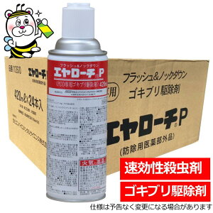 ɗDꂽE܃G[`P SLu m~_j nG \h쏜 ގ΍