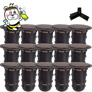 GNXeXe[V15Zbg YL[t DIYŏoVA쏜  Rj[ E ގ h \h xCgH@ }gVA CGVA Ha a 날 a  