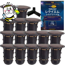 エクステラステーション15セットY字キー付 ベイト剤レクエイム2kg DIY自分で出来るシロアリ駆除 巣 コロニー 殺虫剤 退治 防除 予防 工法 ヤマトシロアリ イエシロアリ 羽蟻 白蟻 しろあり 蟻道 床下 潜れない 外周 埋める プロ 業務用 誘引剤 送料無料 スーパーセール
