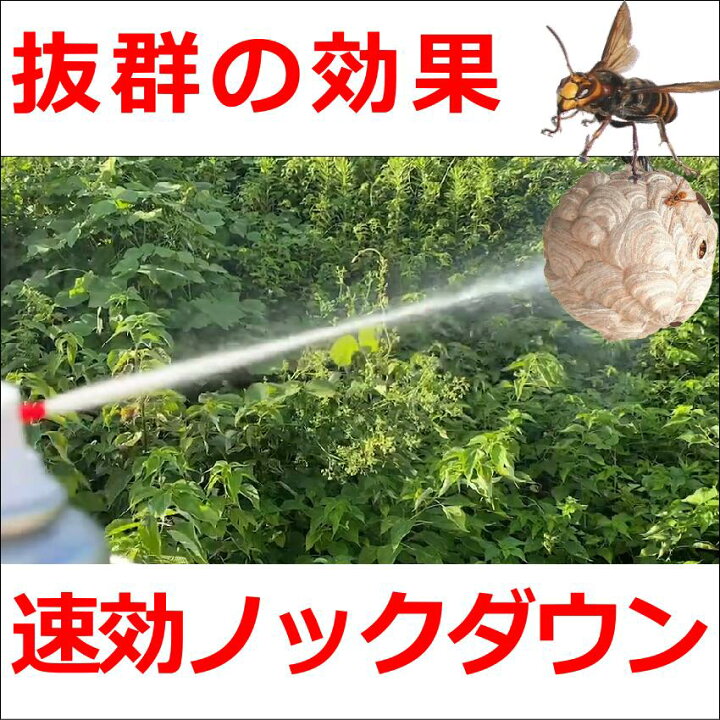 楽天市場】ハチノックL 300ml プロが使うスズメバチの巣駆除 殺虫剤 