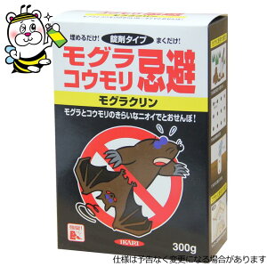OގE쏜 ON 300g 