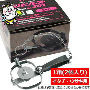 hqY C type No.201 C^` ETM ߊl gbv  쏜 ގ