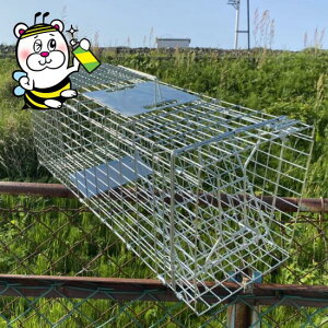 猫 捕獲器 虫除け 殺虫剤 防虫剤の人気商品 通販 価格比較 価格 Com