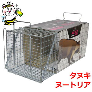 hqY D type NO.302 RB-2 ^kL k[gA \h 쏜 h ΍ ߊl ߊl gbv JS ݂GT