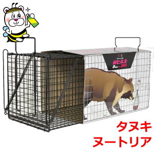 hqY D type NO.303 RB-20 ^kL k[gA \h 쏜 h ΍ ߊl ߊl gbv JS ݂GT