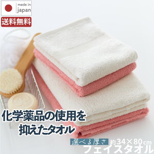 B^I tFCX^I ʂ F5g |    IRODORI Iׂ  I[KjbN^I 100 ܂Ƃߔ ^I B n J[^I Vv Zbg @ q pI 