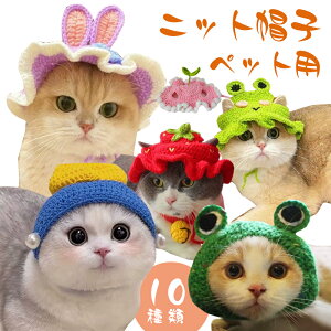 y2_1000~OFFzybgXq jbgXq  L jbg ybgpLbv nbg  ^/^ g ANZT[ jbgX   L ˂ lR ybg 킢 Xq U o