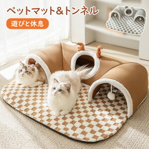 L gl xbh  ߋ lC NbV ||t Lbggl ˂gl ybgxbh ~ L xbh LnEX Lbggl ybg}bg ybgpi ~p }b