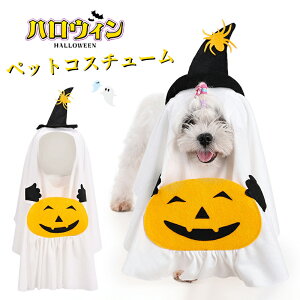 nEB ybg  L ^ RX`[ ڂ ΂ nEB ߑ RXv t 킢  zCg ϐg ʐ^B 낢 hbOEFA halloween