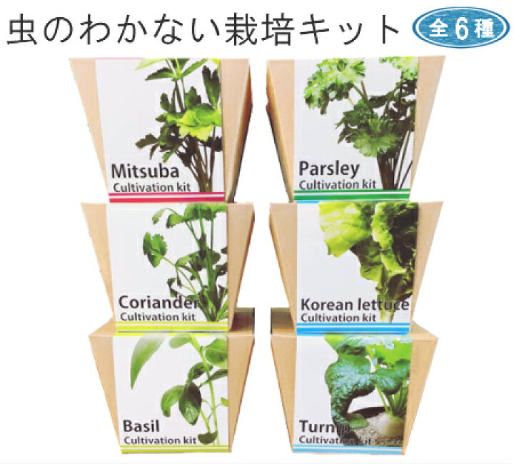 楽天市場 箱潰れありアウトレット クリスタルポット Ss12 食べられる 野菜 を 簡単 家庭菜園 バジル パクチー カブ サンチュ パセリ ミツバ 栽培キット ガーデニング 育てる 食べる 園芸 観葉 植物 食育 ガーデン 初心者 買物広場 ｈａｐｉ