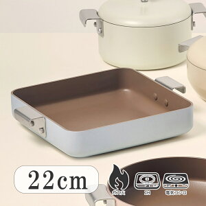 y2000~ψzXNGAtCp 22cm ؍I   킢  Lb` uh Dr.HOWS ( hN^[nEX ) PLATING v[eBO@؍H@H ACXu[F 