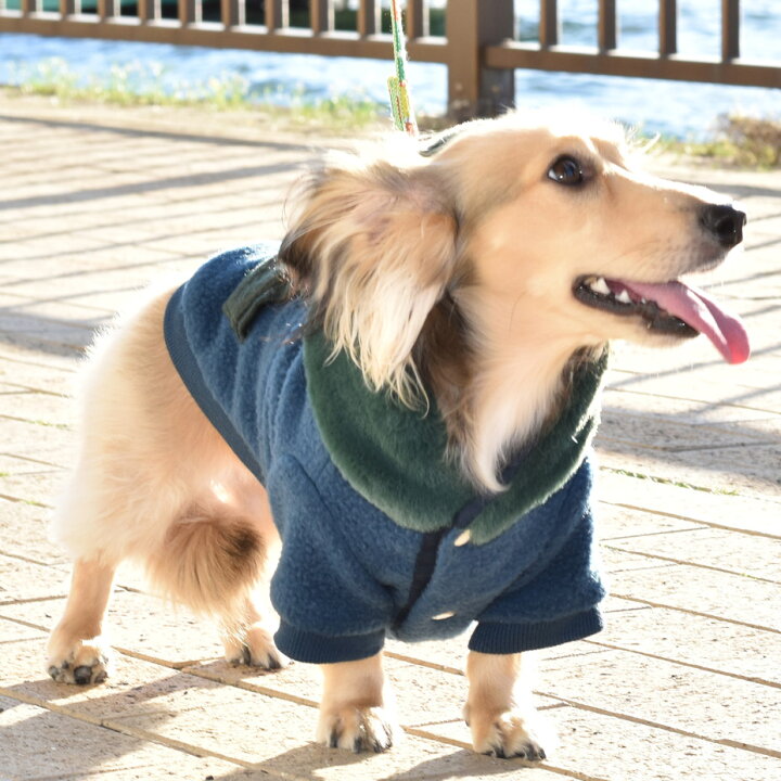 市場 送料無料 防寒 モコモコ 犬用 アウター 犬の服 秋 起毛 ボア 秋冬 暖かい ファー ドッグウェア ジャケット 犬服 ニジ 冬 虹色