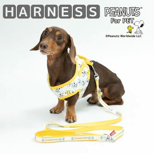 n[lX   ^ ssTCY ʂȂ   y bV ȒP _炩   ybgEFA ybgpi p  Ck  o U ybg ybgp