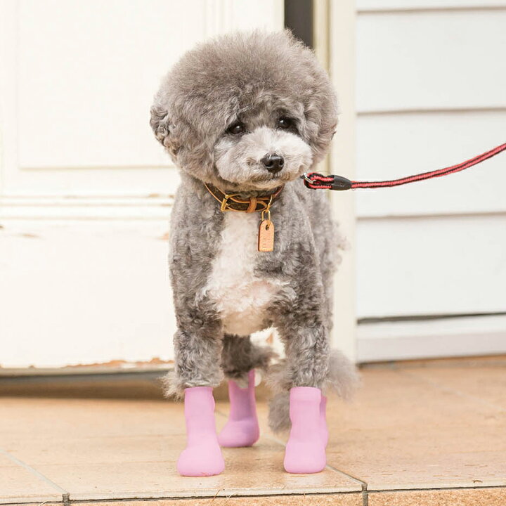 楽天市場 犬 靴 脱げない 履かせやすい くつ 小型 散歩 パウテクト Pawtect 犬靴 おしゃれ かわいい 可愛い 通気 涼しい 足舐め対策 肉球やけど防止 汚れ防止 滑り止め 室内 床保護 ドッグシューズ ブーツ トイプードル ダックス チワックス ブルー オレンジ ピンク 22