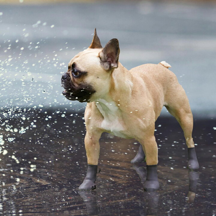 楽天市場】犬 靴 脱げない 履かせやすい くつ 小型 散歩 パウテクト PAWTECT 防水 犬靴 おしゃれ かわいい 可愛い 雨の日用 足舐め対策 肉球やけど防止 汚れ防止 滑り止め 室内 床保護 ドッグシューズ レインブーツ トイプードル ダックス チワックス ブラウン 茶色 2022 ... 楽天市場】犬 靴 脱げない 履かせやすい くつ 小型 散歩 パウテクト PAWTECT 防水 犬靴 おしゃれ かわいい 可愛い 雨の日用 足舐め対策 肉球やけど防止 汚れ防止 滑り止め 室内 床保護 ドッグシューズ レインブーツ トイプードル ダックス チワックス ブラウン 茶色 2022 ...