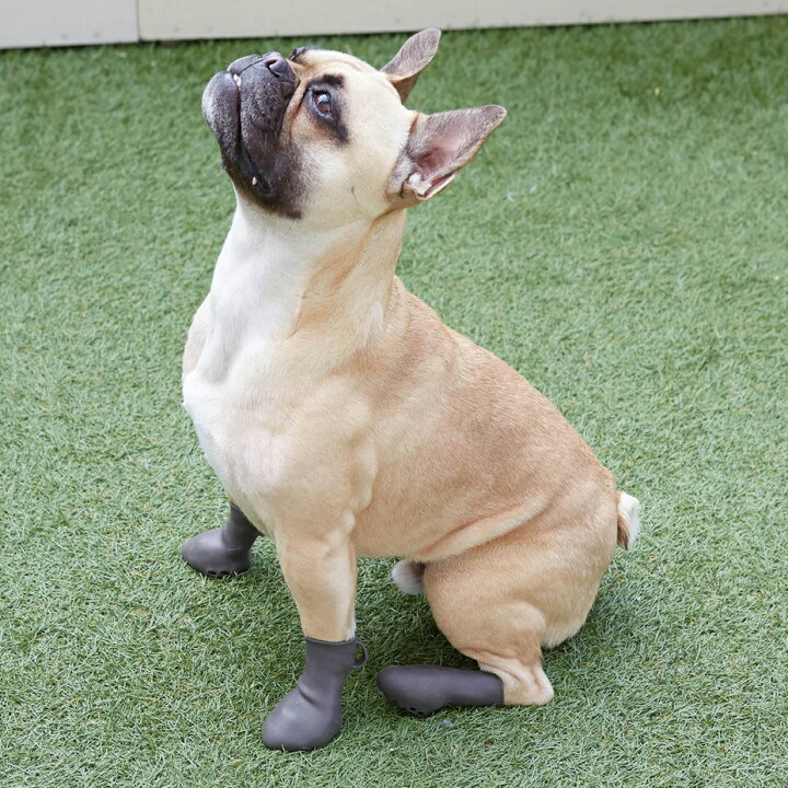 楽天市場】犬 靴 脱げない 履かせやすい くつ 小型 散歩 パウテクト PAWTECT 防水 犬靴 おしゃれ かわいい 可愛い 雨の日用 足舐め対策 肉球やけど防止 汚れ防止 滑り止め 室内 床保護 ドッグシューズ レインブーツ トイプードル ダックス チワックス ブラウン 茶色 2022 ... 楽天市場】犬 靴 脱げない 履かせやすい くつ 小型 散歩 パウテクト PAWTECT 防水 犬靴 おしゃれ かわいい 可愛い 雨の日用 足舐め対策 肉球やけど防止 汚れ防止 滑り止め 室内 床保護 ドッグシューズ レインブーツ トイプードル ダックス チワックス ブラウン 茶色 2022 ...