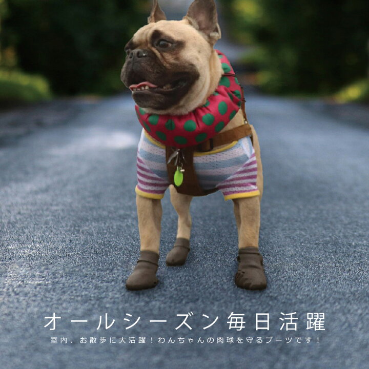 楽天市場 犬 靴 脱げない 履かせやすい くつ 小型 散歩 パウテクト Pawtect 防水 犬靴 おしゃれ かわいい 可愛い 雨の日用 足舐め対策 肉球やけど防止 汚れ防止 滑り止め 室内 床保護 ドッグシューズ レインブーツ トイプードル ダックス チワックス ブラウン 茶色 22