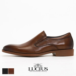 Xb| Y U[ rWlX {v vC [t@[  TChSA JWA JWAV[Y rWlXV[Y uh LUCIUS VEX hXV[Y ubN  u