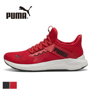 �v�[�} puma �C�[�Y�C�� �\�t�g���C�h �X�j�[�J�[ ���� �����Y ���f�B�[�X �����j���O�V���[�Y �C �G���] enzo 5 ������� �n���Y�t���[ �X���b�|�� �� ease in softride 312581 ����g�킸�ɗ����� ��