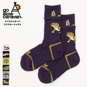 go slow caravan �S�[�X���[�L�����o�� �p�C���\�b�N�X �C�� �\�b�N�X �����Y ���f�B�[�X ������� ������ �p�C�� ���� �N���[�� �����|�C���g ���u ���u�\�b�N�X �C�� �� �� �� ���킢�� ���� 