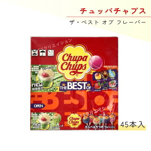 �`���b�p�`���v�X 45�{ �U�x�X�g�I�u�t���[�o�[ ���َq ������ �n���E�B��