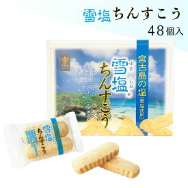 【送料無料】沖縄 お土産 雪塩 ちんすこう 48個入り(1袋2個入り×24袋) 個包装 プレーン お菓子 人気 お取り寄せ おしゃれ おすすめ 小分け 塩スイーツ 限定 ばらまき 自分用 ギフト 会社 クッキー ビスケット 名物 定番