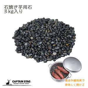 y12420`yVX[p[SALEIz LveX^bO ΏĂp 3kg M-5532   Ă Ă Ĉ