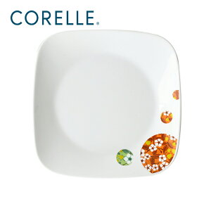 p[ R[ M v[g M H ɂ  y dqW I[u H@Ή {{t[ XNGAM 22.5cm J2211-BBFL CP-9170