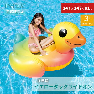 INTEX CebNX  t[g Ђ Aq  CG[_bNChI 147×147×81cm 57556   t[g v[ C C q eq  V 