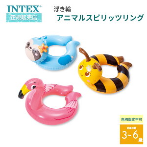 INTEX CebNX Fws LbYp  Aj}XsbcO 59220 v[ C V   t[g LbY qp cp CebNX