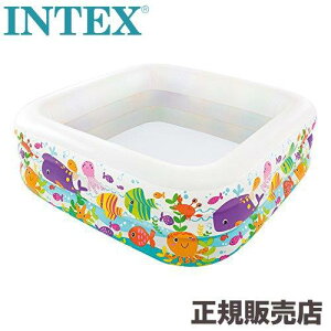 yX[p[SALE|Cg5{z INTEX CebNX NAr[ANAEv[ 159×159×50cm qp V LbYv[ W[v[ GA[v[ ƒpv[ qǂpv[