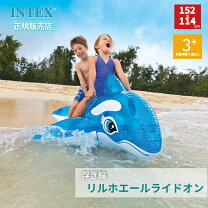 楽天市場】intex インテックス 58523の通販