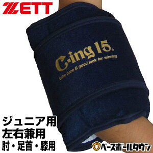 ejX ACVO [bg C-ing15 WjApACVOT|[^[(ЂEEЂp) AIC2600J Np qp y365yΉz