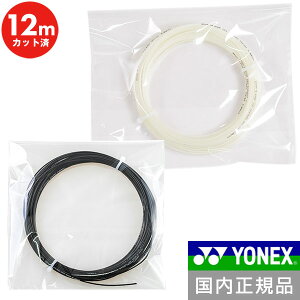 dejX lbNX Ki NVX Xs[h 1.30mm iCXgO }`tBg 12MJbgi P mpbP[W ejX XgOX { TRSP1302 y365y