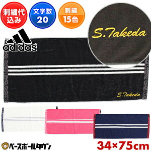 hJ tFCX^I WK[h^I 41 CP FT AfB_X 34cm×75cm 100 @ ӂ X|[c^I ADJT954 hイ  O l[H ƋLOi cLOi H