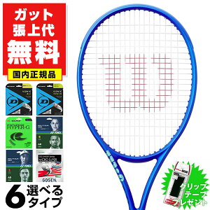 yKbgグzejX EC\ Ki Eg ULTRA 100UL V5 yʃf 16×19  dejX dp l WILSON WR179011U1 WR179011U2 Obve[vv[g